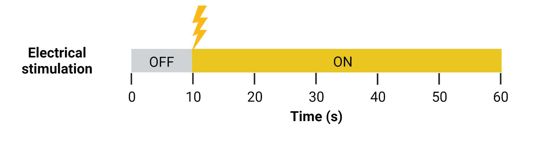 Figure 19. Electrical stimulation regimen during a 1-minute recording. Figure 19. Electrical stimulation regimen during a 1-minute recording.