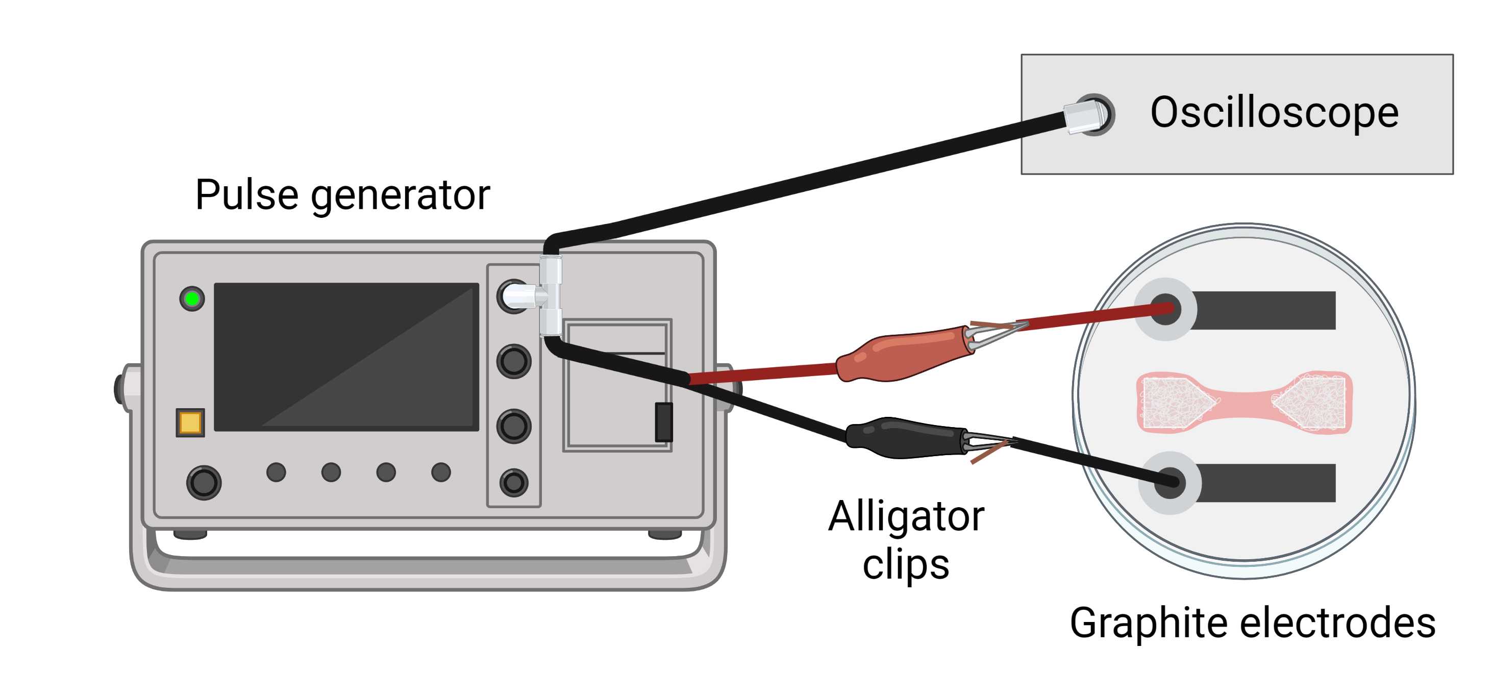 Figure 17. Electrical stimulation setup. Figure 17. Electrical stimulation setup.