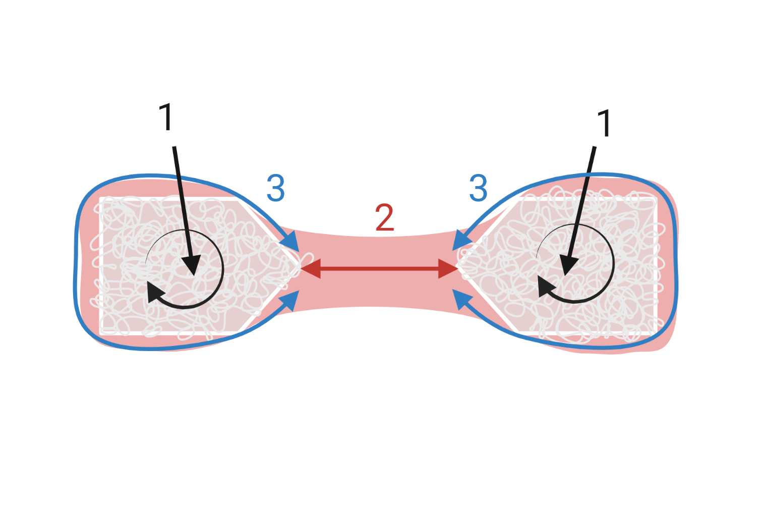 Figure 7. Procedure for correctly distributing the hydrogel solution onto the VELCRO® anchors. Figure 7. Procedure for correctly distributing the hydrogel solution onto the VELCRO® anchors.