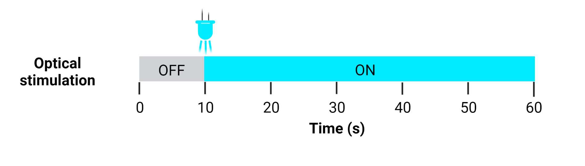 Figure 24. Optical stimulation regimen. Figure 24. Optical stimulation regimen.