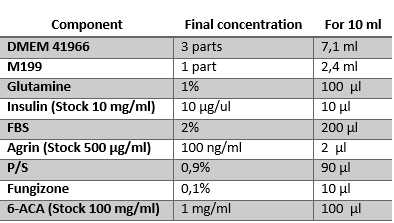 Figure 9. Differentiation medium for AB1079 myoblasts. Figure 9. Differentiation medium for AB1079 myoblasts.