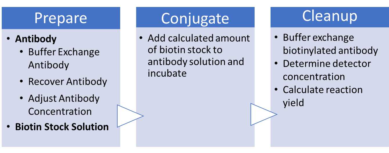 Workflow for Preparing Detector Antibody Workflow for Preparing Detector Antibody