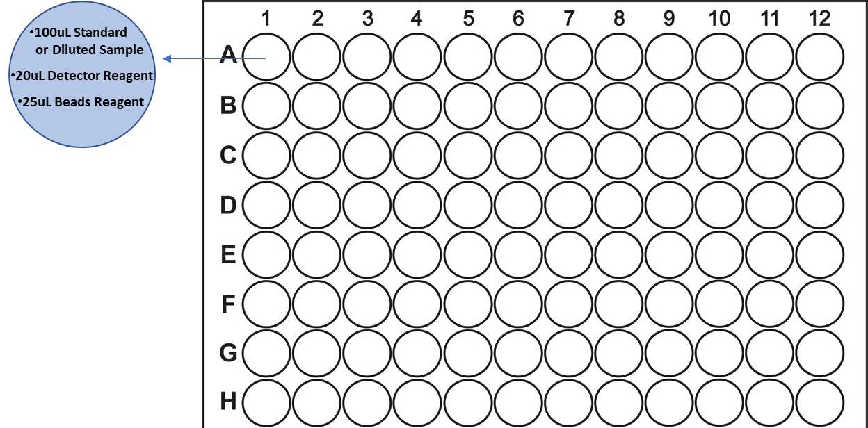 96-Well Microplate 96-Well Microplate