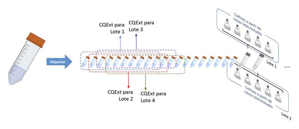 Esquema representativo considerando 40 alíquotas iniciais de CCMR0280-CQExt, onde a amostra do primeiro lote do estudo será adicionada apenas no 12º lote Esquema representativo considerando 40 alíquotas iniciais de CCMR0280-CQExt, onde a amostra do primeiro lote do estudo será adicionada apenas no 12º lote