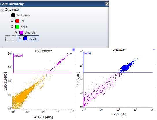 Figure 10. Two examples of roughly what your “nuclei” plot should look like. Within the top figure, you can see exactly how your gating hierarchy should be organized in the sortware software. Figure 10. Two examples of roughly what your “nuclei” plot should look like. Within the top figure, you can see exactly how your gating hierarchy should be organized in the sortware software.