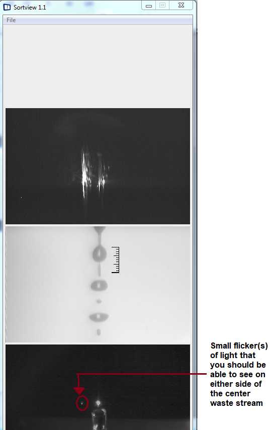 Figure 14. A screenshot of the Sortview portion of the sortware software that you can look at to make sure that your sorting is occurring properly. Always make sure that the hatch-marks portion of the middle figure contains that first breakoff point of the droplet; this may need to be adjusted sometimes during the sort, so make sure to be vigilant about this. Also make sure that you are seeing small flickers of light occurring on each side of the center waste stream. These flickers mean that your sample should be sorting into either the corresponding left or right tubes. Figure 14. A screenshot of the Sortview portion of the sortware software that you can look at to make sure that your sorting is occurring properly. Always make sure that the hatch-marks portion of the middle figure contains that first breakoff point of the droplet; this may need to be adjusted sometimes during the sort, so make sure to be vigilant about this. Also make sure that you are seeing small flickers of light occurring on each side of the center waste stream. These flickers mean that your sample should be sorting into either the corresponding left or right tubes.