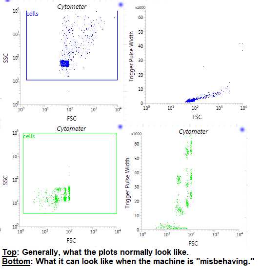 Figure 7. Depiction of how to perform the initial “cells” gating for your sample. The top two figures show what the plots should normally look like. The bottom two figures depict what the plots may look like when the FACS machine is acting up. It may be useful at this point to re-align the lasers, etc. and try to analyze your sample again, or shut off the machine and try again another day. Figure 7. Depiction of how to perform the initial “cells” gating for your sample. The top two figures show what the plots should normally look like. The bottom two figures depict what the plots may look like when the FACS machine is acting up. It may be useful at this point to re-align the lasers, etc. and try to analyze your sample again, or shut off the machine and try again another day.