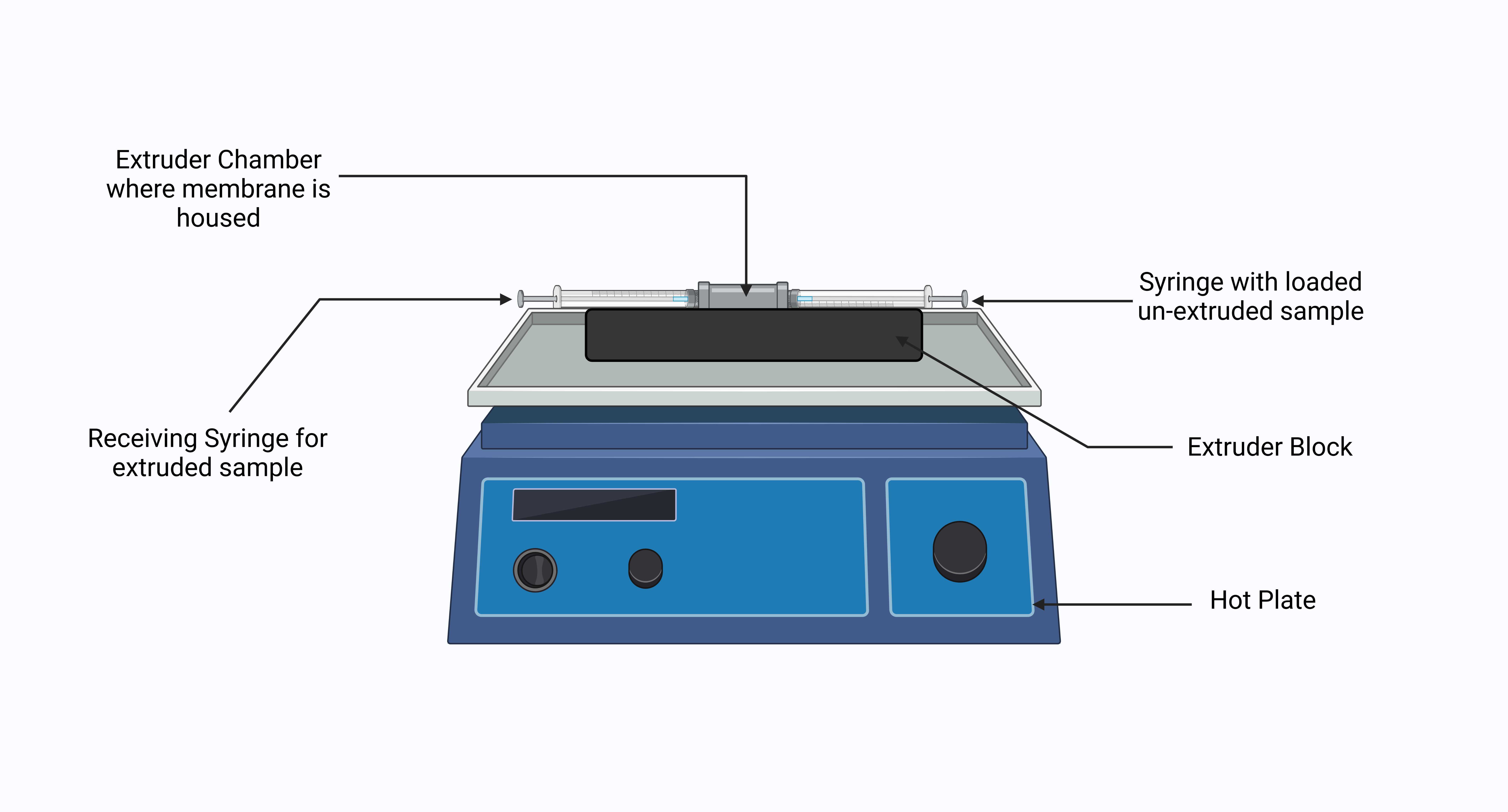 Figure 2. Example display of a Miniextruder system, for liposomes with high Transition temperatures, extrusion should be carried out on a hot plate. (Image created using BioRender, 2023) Figure 2. Example display of a Miniextruder system, for liposomes with high Transition temperatures, extrusion should be carried out on a hot plate. (Image created using BioRender, 2023)