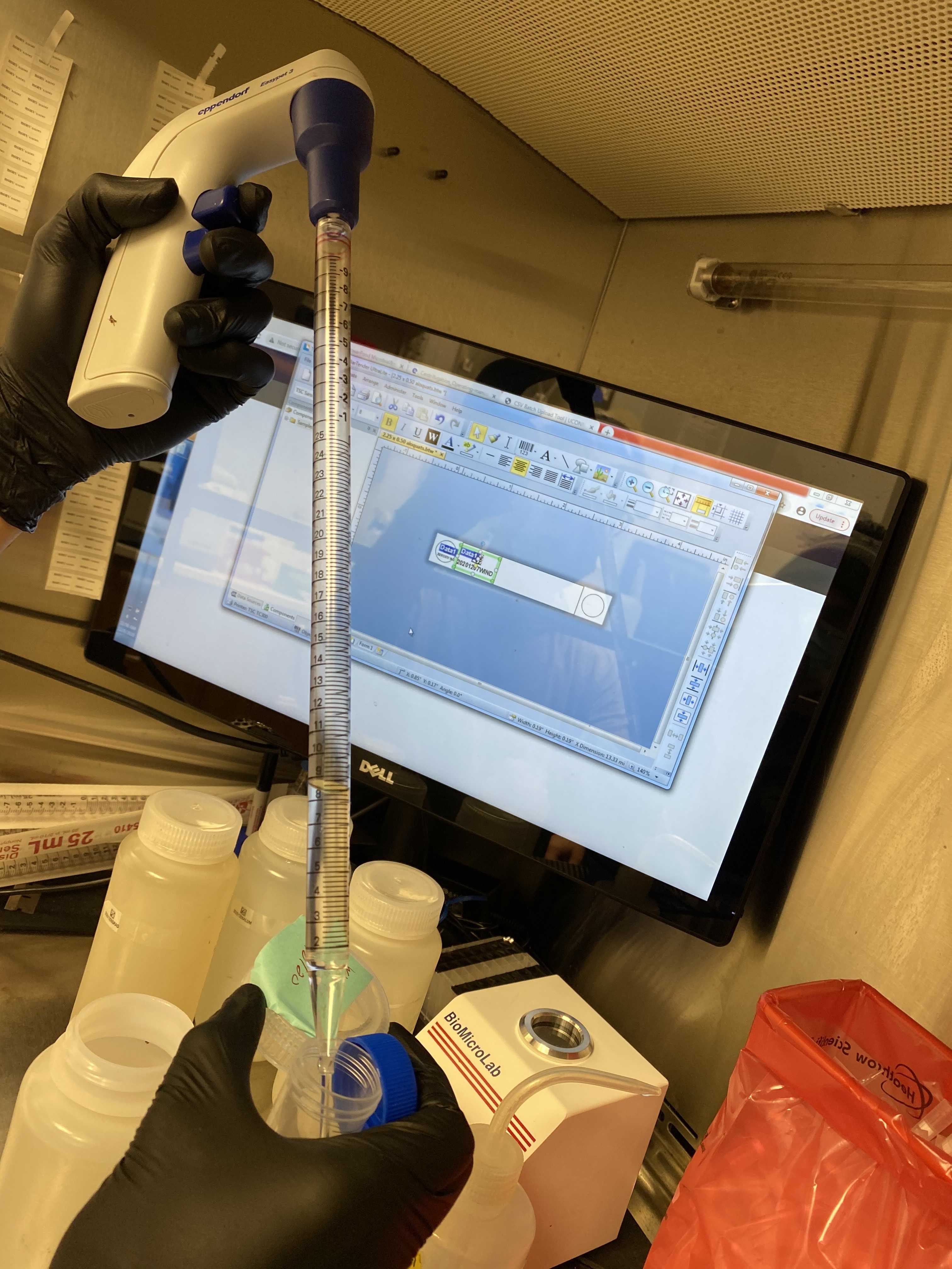 Transferring 40mL of spiked and settled wastewater samples from 500mL bottles to 50mL conical tubes. Transferring 40mL of spiked and settled wastewater samples from 500mL bottles to 50mL conical tubes.