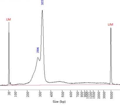 *(sample 3)Fragment analyzer electropherogram *(sample 3)Fragment analyzer electropherogram