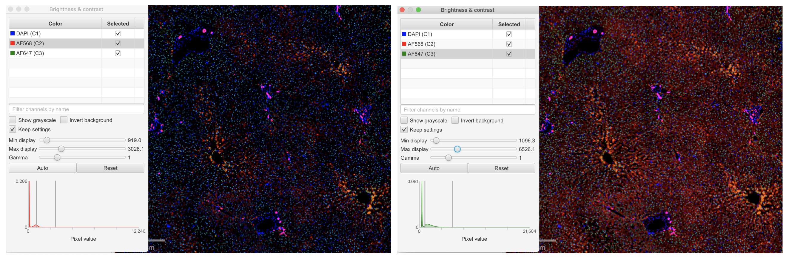 Comparison of an optimally adjusted image (left) vs oversaturated image (right). Comparison of an optimally adjusted image (left) vs oversaturated image (right).