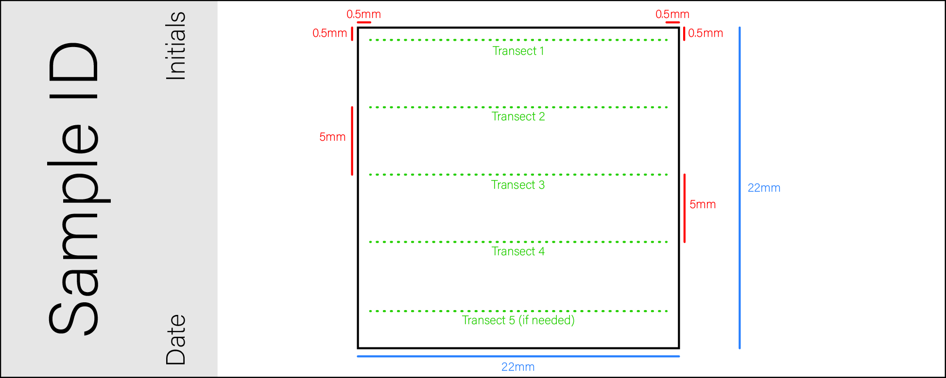 Visual representation of transect placement within cover slide. Visual representation of transect placement within cover slide.