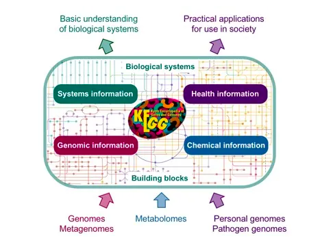Fig 1: Illustration of KEGG applications Fig 1: Illustration of KEGG applications