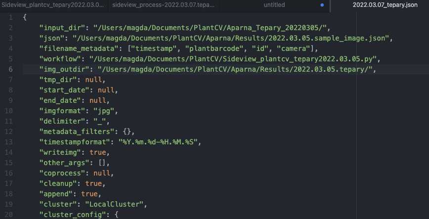 The part of the json file that needs to be adjusted to individual experiments The part of the json file that needs to be adjusted to individual experiments