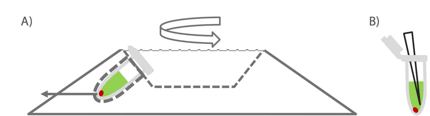 Figure 4. Taken from Circulomics Short Read Eliminator Kit Family Handbook v2.0 (07/2019) a) note orientation of the tube in centrifuge. Pellet will form on the side of the tube facing outwards, in the case underneath the hinge region. b) Pipette from opposite side of tube on the thumb lip side to avoid disturbing pellet (pellet may not be visible). Figure 4. Taken from Circulomics Short Read Eliminator Kit Family Handbook v2.0 (07/2019) a) note orientation of the tube in centrifuge. Pellet will form on the side of the tube facing outwards, in the case underneath the hinge region. b) Pipette from opposite side of tube on the thumb lip side to avoid disturbing pellet (pellet may not be visible).