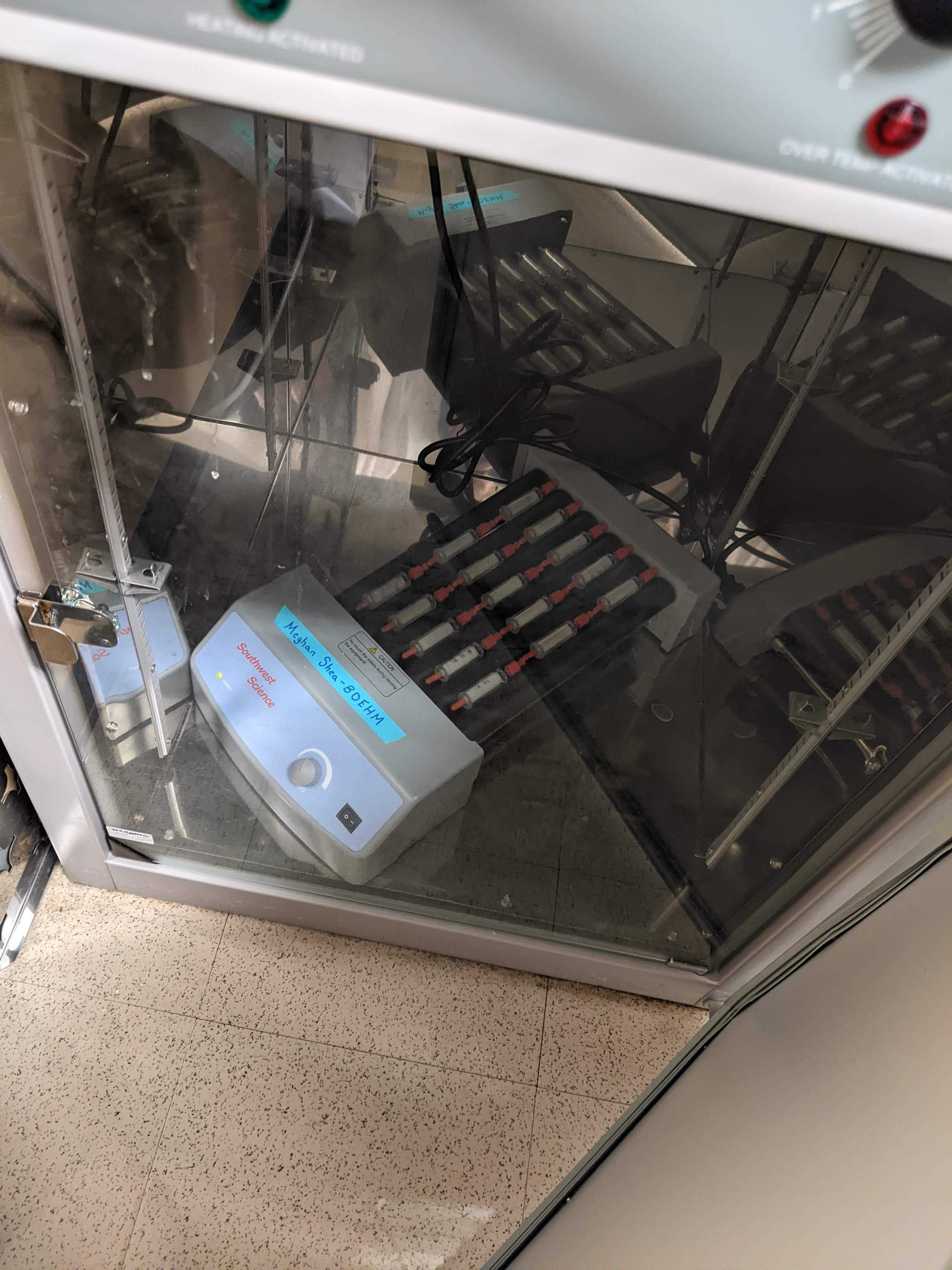 Sterivex arranged on roller shaker in incubator (Photo Credit: Meghan M. Shea) Sterivex arranged on roller shaker in incubator (Photo Credit: Meghan M. Shea)