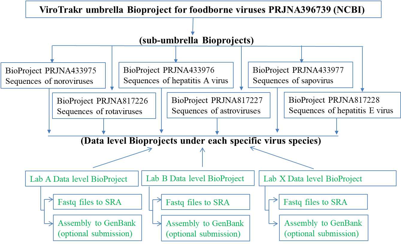 Note: The steps involved in your ViroTrakr submission are highlighted in green;One data level BioProjectper lab or per collaboration project. Note: The steps involved in your ViroTrakr submission are highlighted in green;One data level BioProjectper lab or per collaboration project.