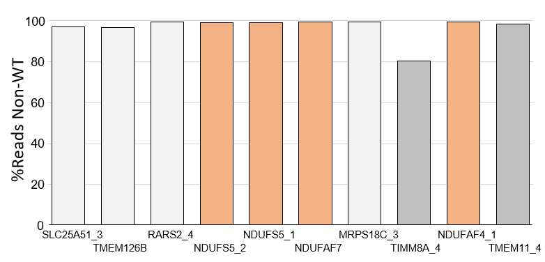 Supplemental Figure 5. Cutting Efficiency in Synthetic gRNAs Against Genes-of-Interest. Supplemental Figure 5. Cutting Efficiency in Synthetic gRNAs Against Genes-of-Interest.