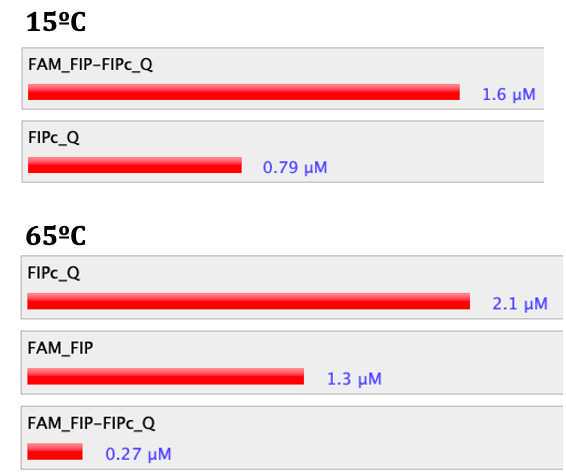 Here is an example result of an analysis we made. The relevant things to look at is to make sure that all of the fluorescent primer (FAM_FIP in this case) is hybridizing with the quenching probe (FIPc_Q) at room temperature (15ºC), but is mostly free to form amplicons at LAMP reaction temperature (65ºC). In this specific case, even though FAM_FIP is not completely free at 65ºC, still a considerable amount of the primer would be able to participate in the reaction, indicating a good result. Here is an example result of an analysis we made. The relevant things to look at is to make sure that all of the fluorescent primer (FAM_FIP in this case) is hybridizing with the quenching probe (FIPc_Q) at room temperature (15ºC), but is mostly free to form amplicons at LAMP reaction temperature (65ºC). In this specific case, even though FAM_FIP is not completely free at 65ºC, still a considerable amount of the primer would be able to participate in the reaction, indicating a good result.