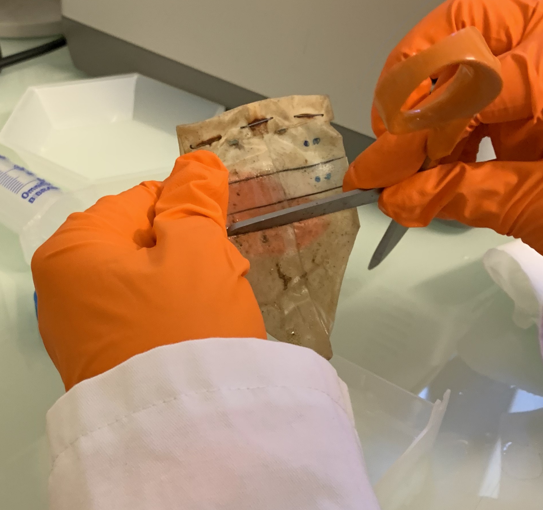 The external face of the bag is scraped to get rid of non-microplastic associated material The external face of the bag is scraped to get rid of non-microplastic associated material