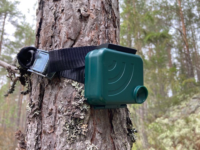 Waterproof case installed on a tree Waterproof case installed on a tree
