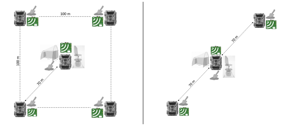 Diagrams of the two different Lifeplan plot designs, with AudioMoths shown in colour and the other Lifepland equipment shown in grey. Left: Option 1 with five AudioMoths, Right: Option 2 with three AudioMoths Diagrams of the two different Lifeplan plot designs, with AudioMoths shown in colour and the other Lifepland equipment shown in grey. Left: Option 1 with five AudioMoths, Right: Option 2 with three AudioMoths