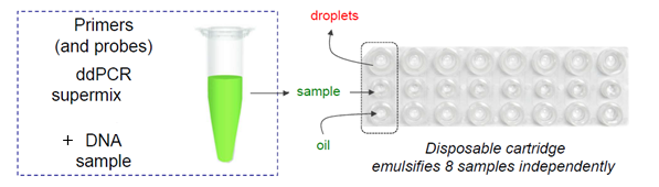 Figure 1: DG8 cartridge filling Figure 1: DG8 cartridge filling