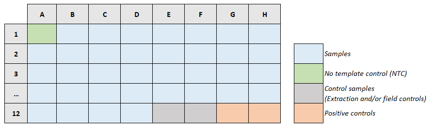 Table 2: Extracted RNA samples and controls distribution example Table 2: Extracted RNA samples and controls distribution example