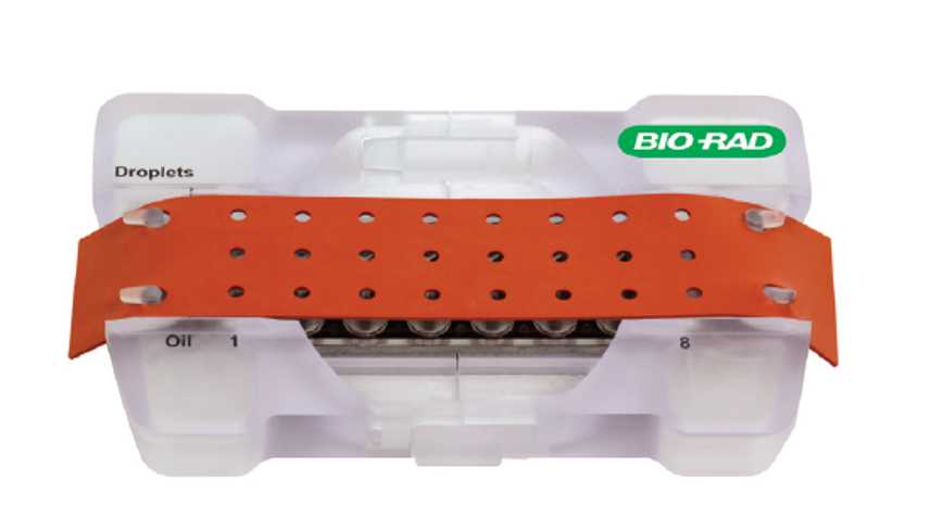 Figure 2: Correct placement of the gasket over the cartridge holder Figure 2: Correct placement of the gasket over the cartridge holder