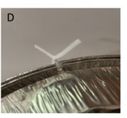Figure A1: Leech traps construction. Figure A1: Leech traps construction.