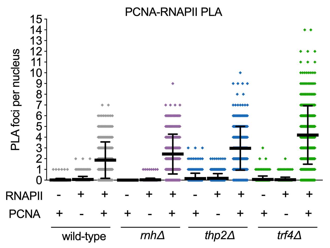 Proximity Ligation Assay to Detect Transcription-Replication Conflicts ...