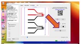 Figure 4D Figure 4D
