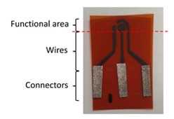Figure 6A Figure 6A