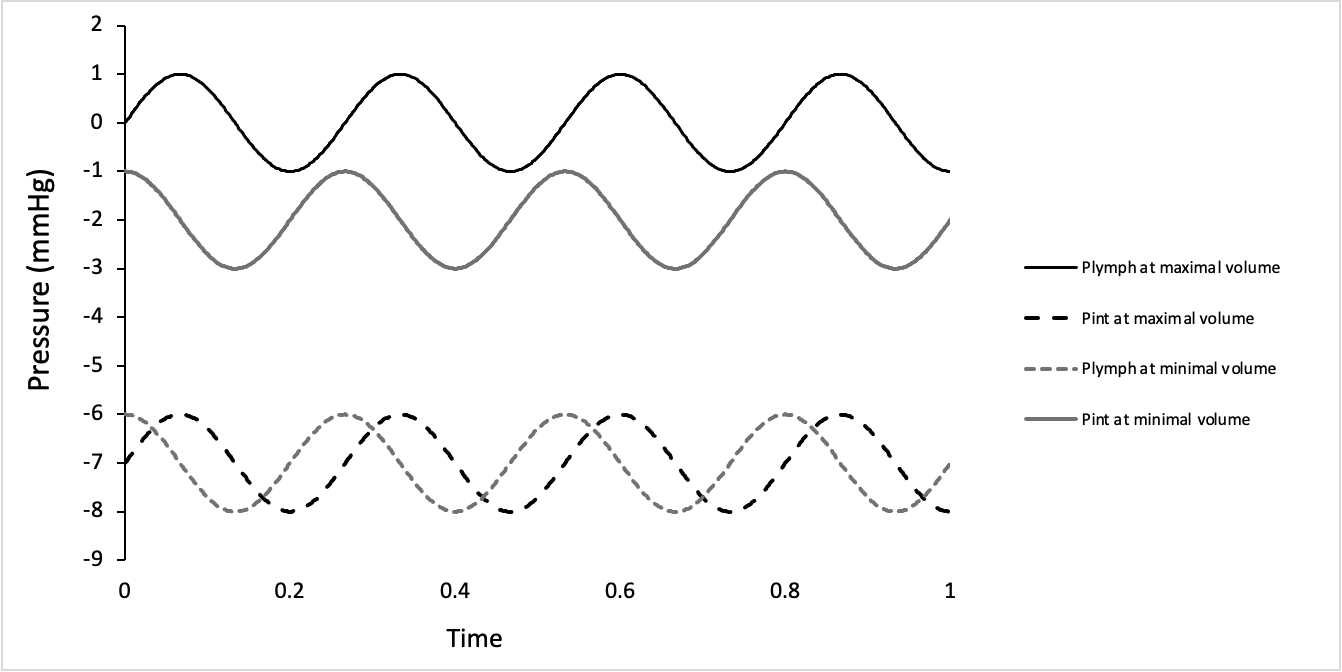 Figure S1: Plot of pressure versus time demonstrating the sinusoidal relationships for the hydrostatic pressure in the interstitial space (Pint, Equation S4) and hydrostatic pressure in the lymph space (Plymph, Equation S6). Figure S1: Plot of pressure versus time demonstrating the sinusoidal relationships for the hydrostatic pressure in the interstitial space (Pint, Equation S4) and hydrostatic pressure in the lymph space (Plymph, Equation S6).