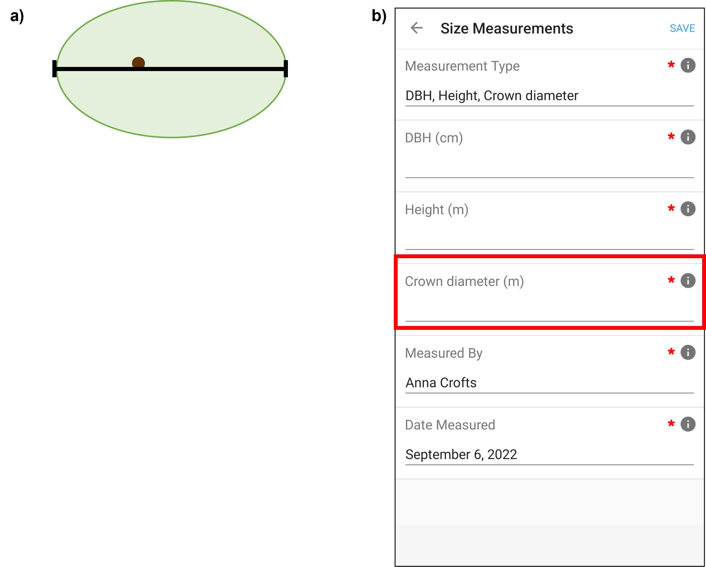 Figure 7. a) Schematic of an individual's crown, as modelled by an ellipse. The black line represents the longest crown diameter (i.e., the dimension to quantify) and brown circle represents the individual's trunk. b) A screenshot from Fulcrum mobile application CABO account. Enter the longest crown diameter into the Crown diameter (cm) field in the individual's plant record in Fulcrum (panel b). The red box has been added to screenshot to illustrate selections. Note that Fulcrum can be used via a mobile app or desktop website and that the two are organized differently. Figure 7. a) Schematic of an individual's crown, as modelled by an ellipse. The black line represents the longest crown diameter (i.e., the dimension to quantify) and brown circle represents the individual's trunk. b) A screenshot from Fulcrum mobile application CABO account. Enter the longest crown diameter into the Crown diameter (cm) field in the individual's plant record in Fulcrum (panel b). The red box has been added to screenshot to illustrate selections. Note that Fulcrum can be used via a mobile app or desktop website and that the two are organized differently.