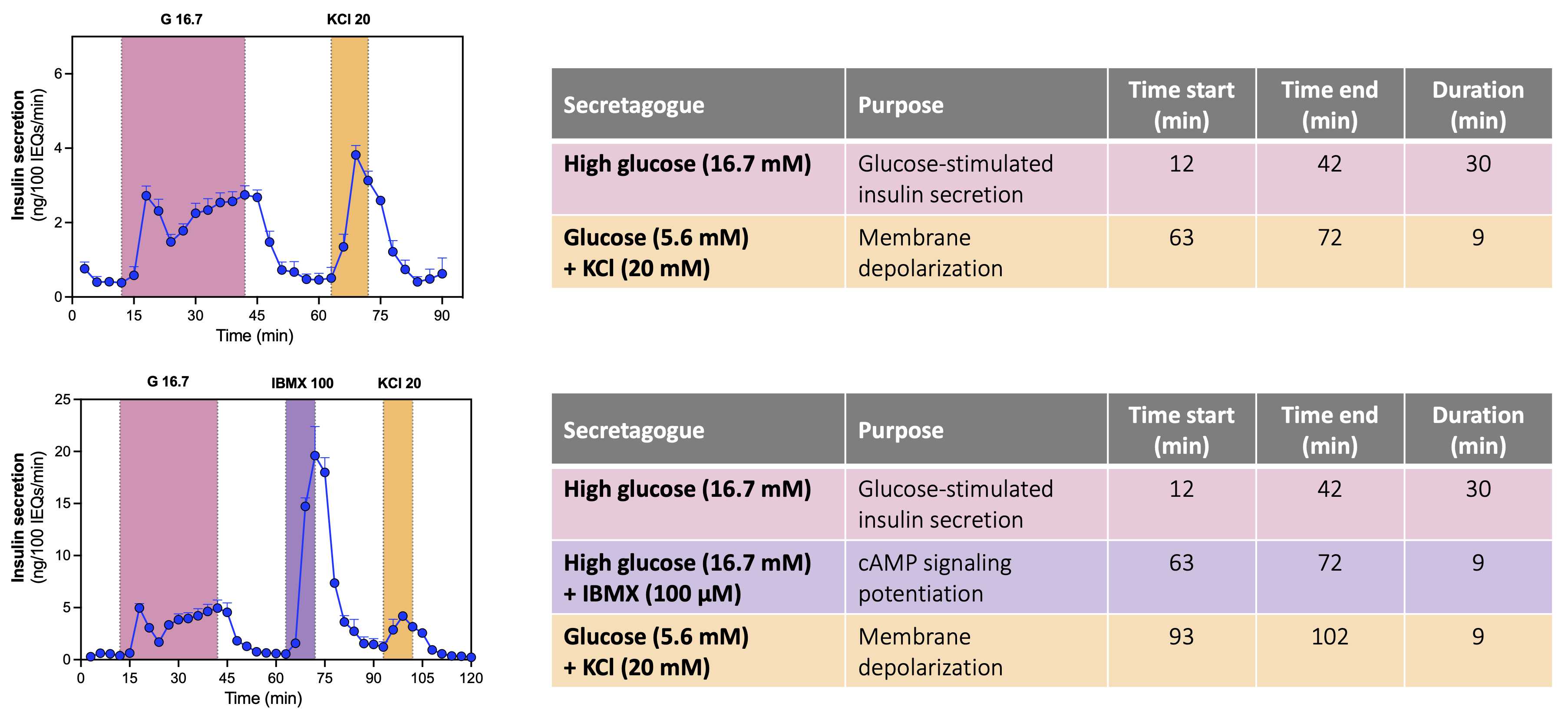 Figure 3. Perifusion traces and 2- or 3-secretagogue protocols for measuring mouse insulin secretion. Figure 3. Perifusion traces and 2- or 3-secretagogue protocols for measuring mouse insulin secretion.