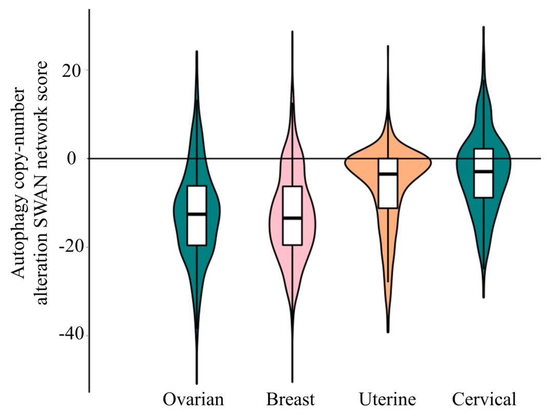 Figure 3. Overlaid violin and boxplots. Copy-number alteration network scores in gynecologic cancers. Figure 3. Overlaid violin and boxplots. Copy-number alteration network scores in gynecologic cancers.