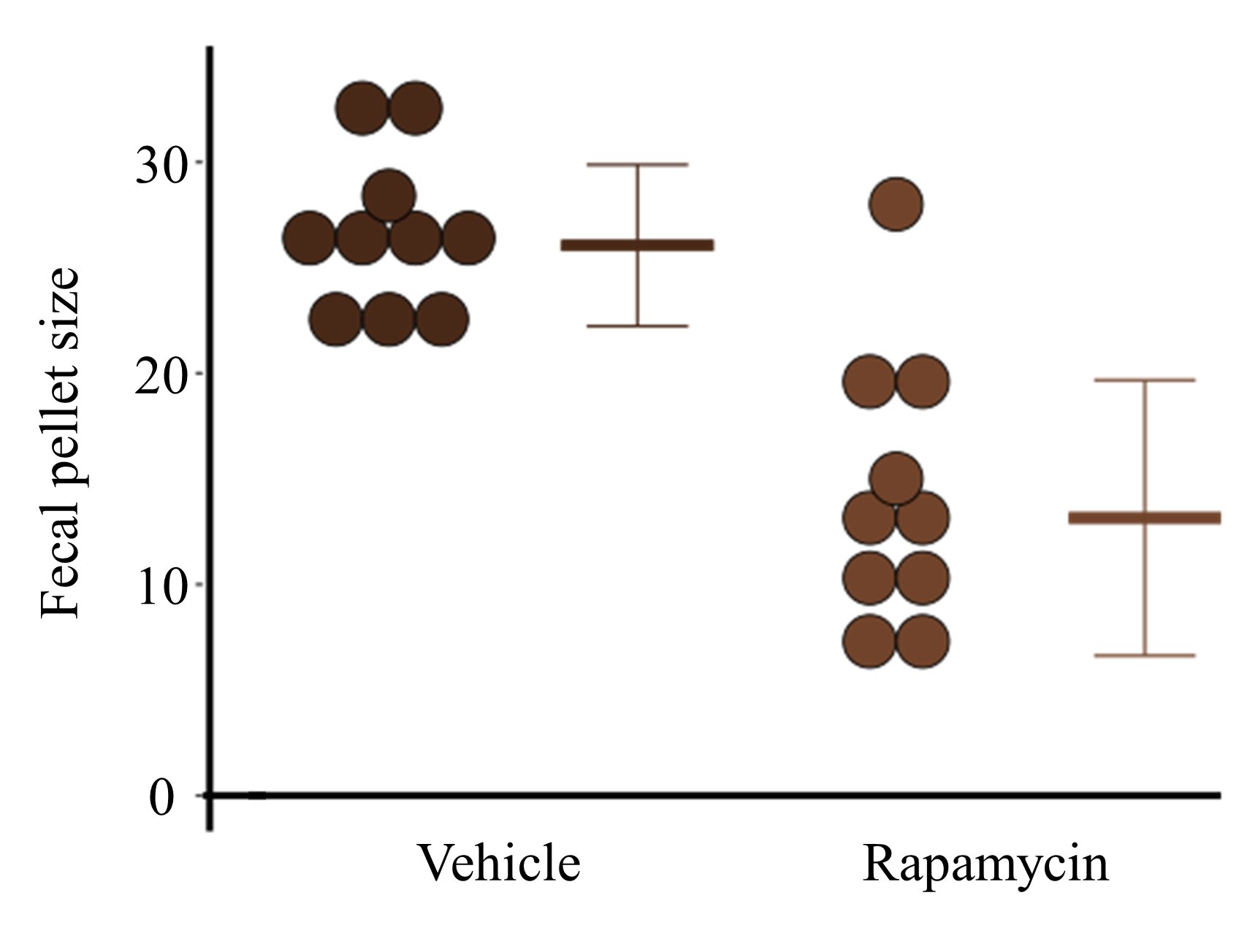 Figure 4. Dot plot and average plus error offset feature. Fecal pellet sizes with or without rapamycin treatment. Figure 4. Dot plot and average plus error offset feature. Fecal pellet sizes with or without rapamycin treatment.