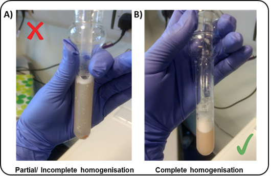Figure 1 Example of adult brain tissue sample A) only partially homogenised B) complete homogenisation.Fetal samples will appear paler, with fewer pieces of floating lipid based tissue. Figure 1 Example of adult brain tissue sample A) only partially homogenised B) complete homogenisation.Fetal samples will appear paler, with fewer pieces of floating lipid based tissue.
