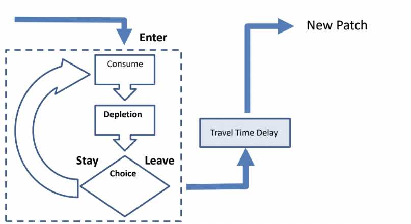 A schematic diagram of sequential patch foraging. The animal chooses between staying in the depleting patch and leaving and moving to a new patch, which requires enduring a travel time delay, during which the rate of immediate resource consumption is zero. A schematic diagram of sequential patch foraging. The animal chooses between staying in the depleting patch and leaving and moving to a new patch, which requires enduring a travel time delay, during which the rate of immediate resource consumption is zero.