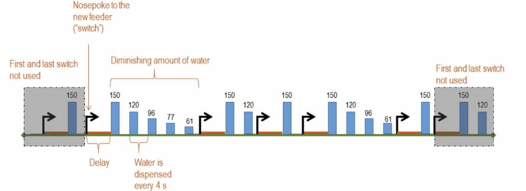 Example of an 10-minute session. Data from the first and last patch changes are not used in metrics calculation (patch change, total time, total water, etc.). The stimulus light is “on” only during the availability of water in the corresponding hole. The sound is “on” during delay periods. Example of an 10-minute session. Data from the first and last patch changes are not used in metrics calculation (patch change, total time, total water, etc.). The stimulus light is “on” only during the availability of water in the corresponding hole. The sound is “on” during delay periods.