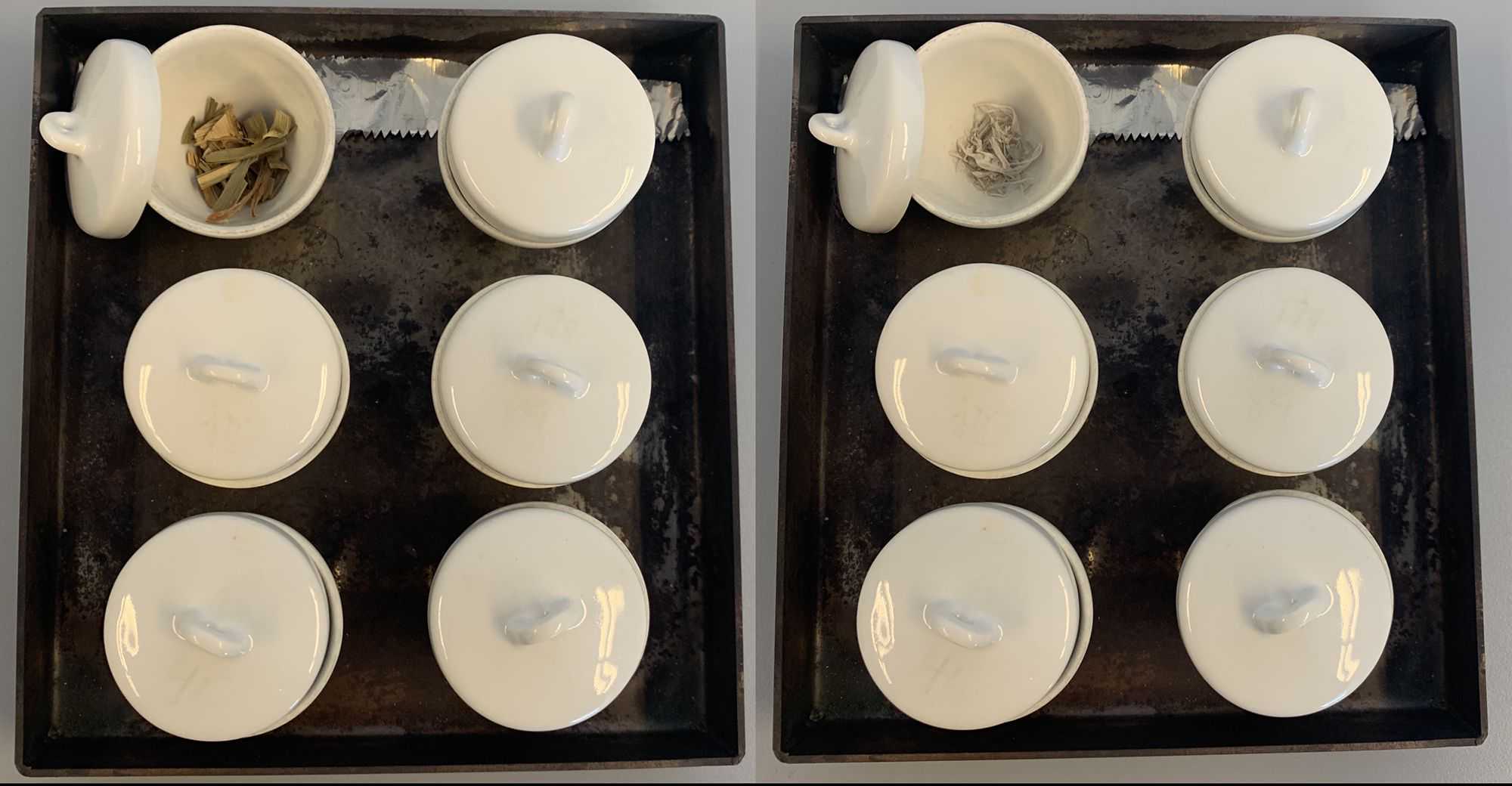 Ceramic crucibles containing the samples, covered with a lid. a) shows the plant tissue before ashing and b) shows the white ashes obtained after 12 hours in the oven. Ceramic crucibles containing the samples, covered with a lid. a) shows the plant tissue before ashing and b) shows the white ashes obtained after 12 hours in the oven.