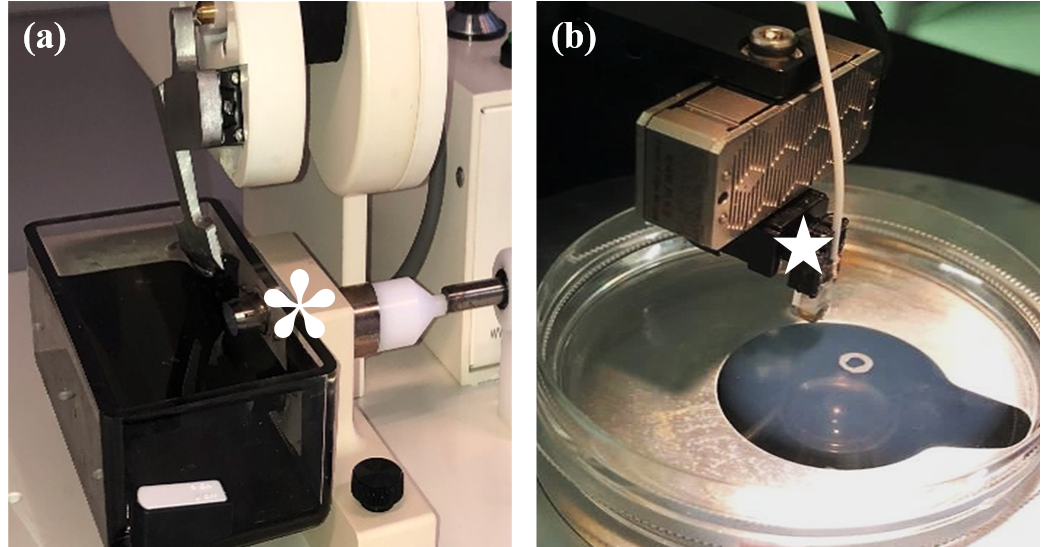 Figure 2 Setup of the equipment used in this study i.e., the Compresstome‱VF-210-0Z and the Chiaro Nanoindenter. (a) The Compresstome‱ VF-210-0Z buffer tray is secured in place and the embedded specimen (white asterisk) is awaiting sectioning. (b) The Chiaro Nanoindenter has a calibrated probe (white star) mounted and ready for performing microindentation on a hydrated vascular sample. Figure 2 Setup of the equipment used in this study i.e., the Compresstome‱VF-210-0Z and the Chiaro Nanoindenter. (a) The Compresstome‱ VF-210-0Z buffer tray is secured in place and the embedded specimen (white asterisk) is awaiting sectioning. (b) The Chiaro Nanoindenter has a calibrated probe (white star) mounted and ready for performing microindentation on a hydrated vascular sample.