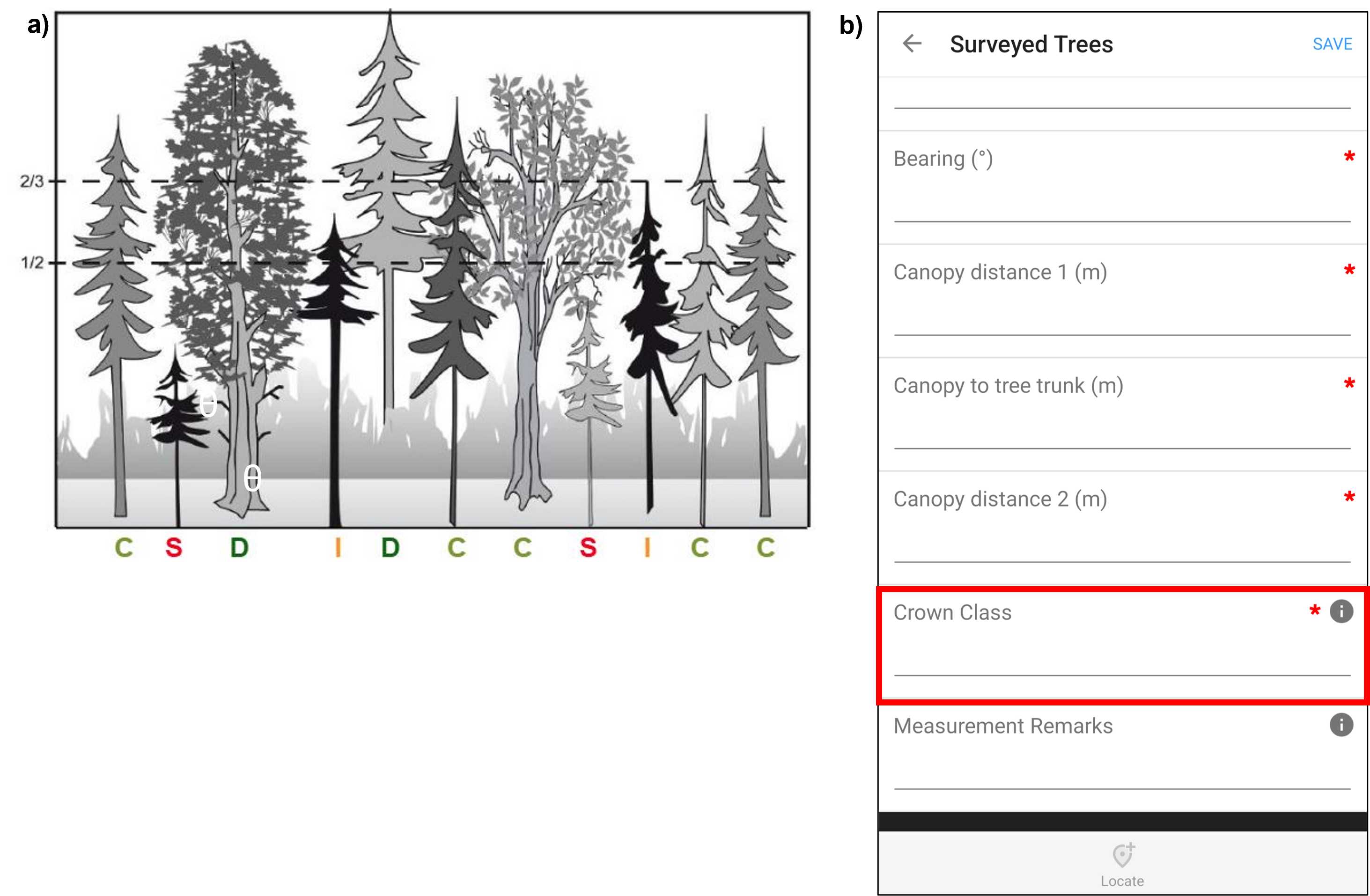 Figure 12. a) A schematic modified from MFFP (2015) illustrating the crown classes, where D is dominant, C is co-dominant, I is intermediate, and S is suppressed as defined in Table 1. b) A screenshot from Fulcrum mobile application CABO account. Enter the crown class into the Crown Class field in the individual's Surveyed Trees record in Fulcrum (panel b). The red box has been added to screenshot to illustrate selections. Note that Fulcrum can be used via a mobile app or desktop website and that the two are organized differently. Figure 12. a) A schematic modified from MFFP (2015) illustrating the crown classes, where D is dominant, C is co-dominant, I is intermediate, and S is suppressed as defined in Table 1. b) A screenshot from Fulcrum mobile application CABO account. Enter the crown class into the Crown Class field in the individual's Surveyed Trees record in Fulcrum (panel b). The red box has been added to screenshot to illustrate selections. Note that Fulcrum can be used via a mobile app or desktop website and that the two are organized differently.