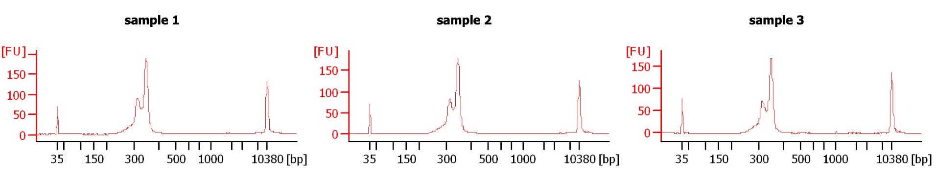 Expected result of library on a BioAnalyzer, it is normal to see these two peaks, the first peak should be smaller than the second. Make sure to confirm that the size of the main peak is the predicted size based on insert and primer scheme. Expected result of library on a BioAnalyzer, it is normal to see these two peaks, the first peak should be smaller than the second. Make sure to confirm that the size of the main peak is the predicted size based on insert and primer scheme.