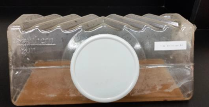 Figure 6. b) Southern Sun BioSystems with fiber-supported paper inside. Figure 6. b) Southern Sun BioSystems with fiber-supported paper inside.