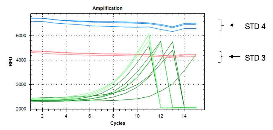 Figure 1: Example of real-time qPCR amplification plot for unoxidized and oxidized samples. Each sample requires a certain number of cycles (x axis) to reach the desired amount (fluorescence level in y axis), depending on the amount of starting material. Unoxidized samples (-) indicated in light green, oxidized samples (+) in dark green. fluorescent STD 3 in pink and STD 4 in blue. Figure 1: Example of real-time qPCR amplification plot for unoxidized and oxidized samples. Each sample requires a certain number of cycles (x axis) to reach the desired amount (fluorescence level in y axis), depending on the amount of starting material. Unoxidized samples (-) indicated in light green, oxidized samples (+) in dark green. fluorescent STD 3 in pink and STD 4 in blue.