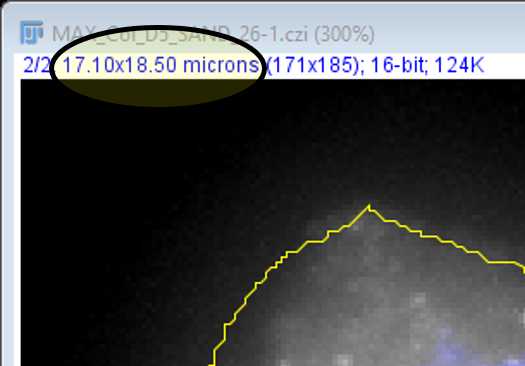 A quick check at the top of the image should confirm whether it is calibrated correctly. A quick check at the top of the image should confirm whether it is calibrated correctly.