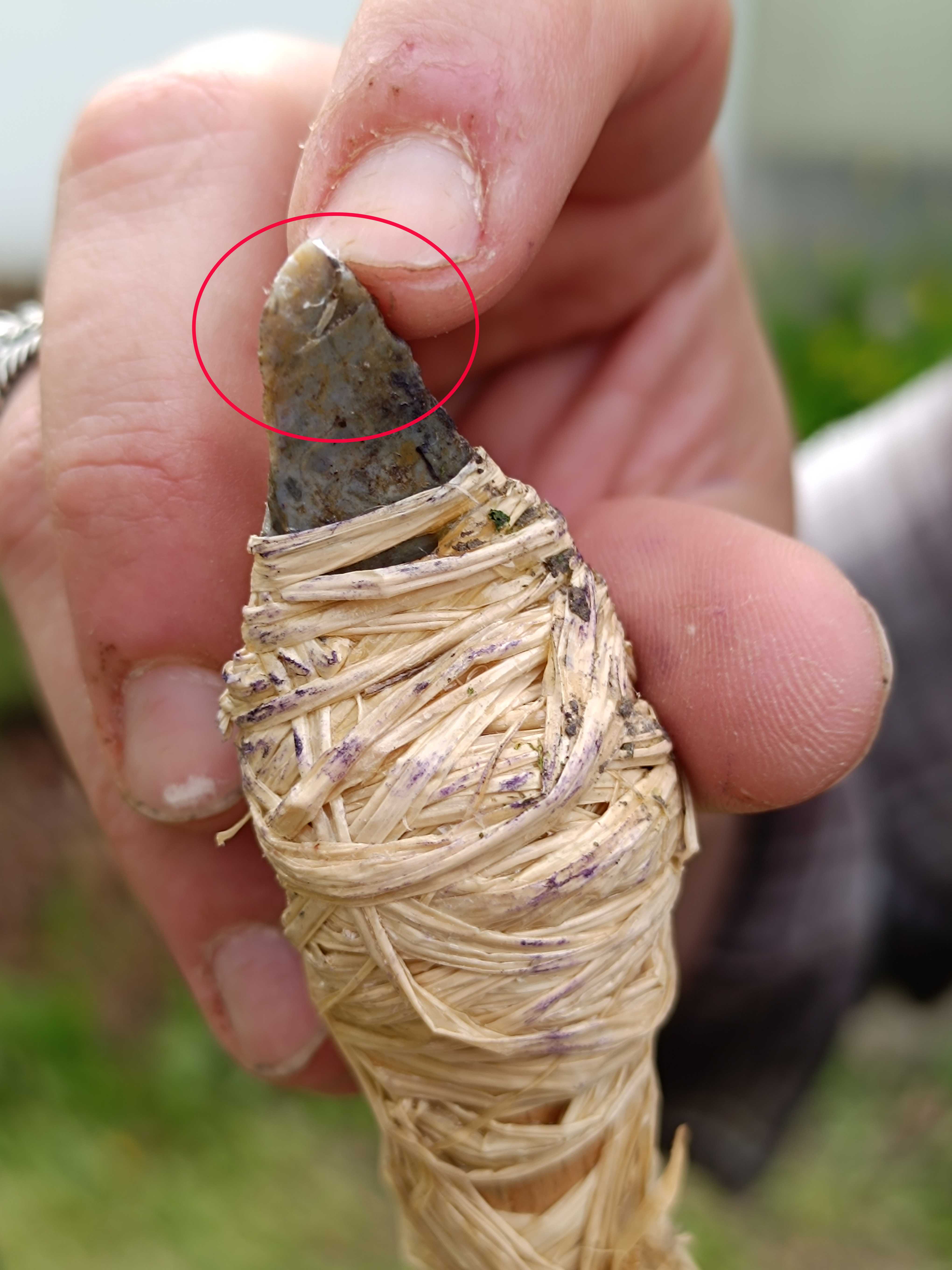 The macro-trace of the impact on the tool is circled in red The macro-trace of the impact on the tool is circled in red