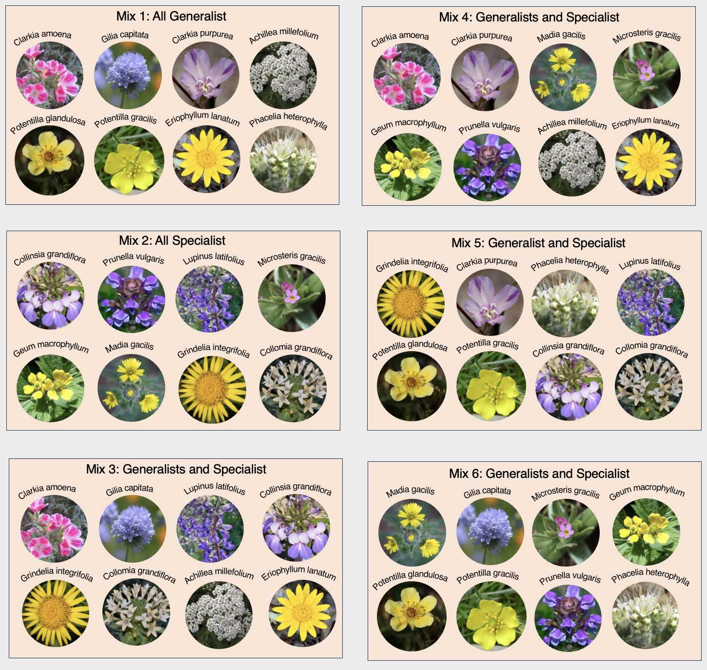 Figure 5: Each seed mix is made up of differing levels of specialization Figure 5: Each seed mix is made up of differing levels of specialization